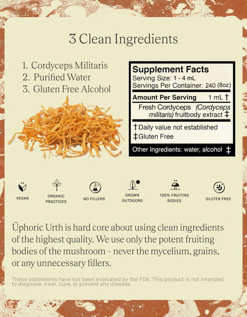 Load image into Gallery viewer, No. 02 — Cordyceps by Üphoric Urth
