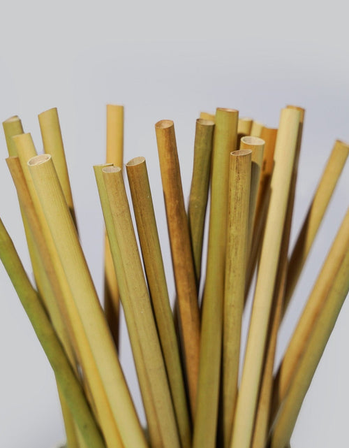 Load image into Gallery viewer, Grass Drinking Straws by EQUO
