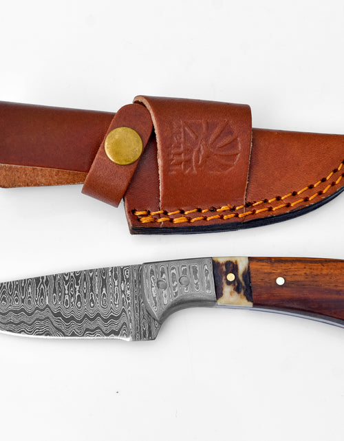 Load image into Gallery viewer, Damascus Steel Timberline Stag Horn EDC Knife by Titan TK-119 by Titan International Knives
