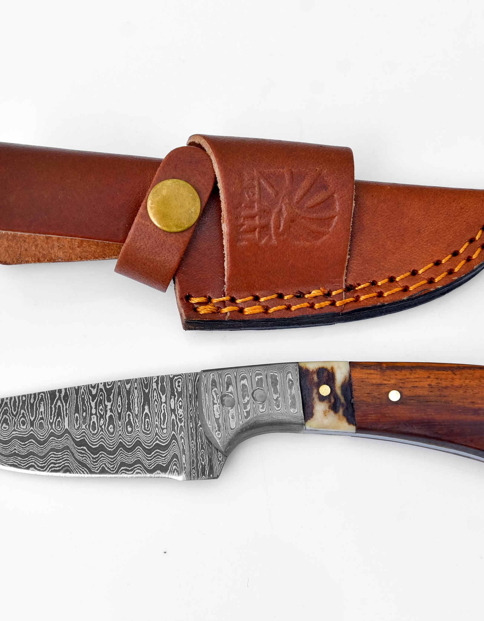 Damascus Steel Timberline Stag Horn EDC Knife by Titan TK-119 by Titan International Knives