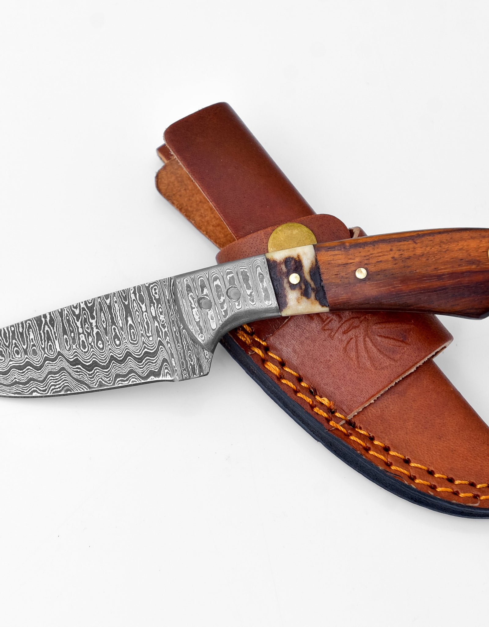 Damascus Steel Timberline Stag Horn EDC Knife by Titan TK-119 by Titan International Knives