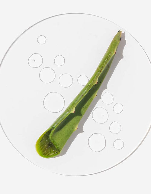 Load image into Gallery viewer, Day Breakthru by FarmHouse Fresh skincare

