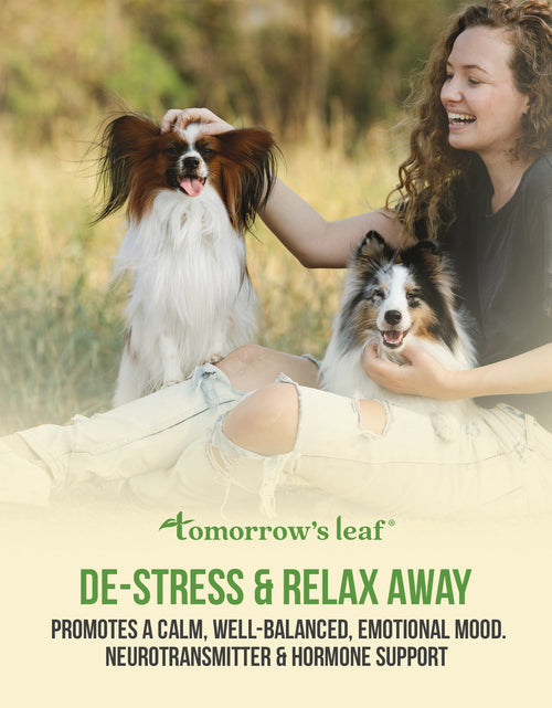 Load image into Gallery viewer, Tomorrow's Leaf® De-Stress &amp; Relax Away by Best Clean Beauty
