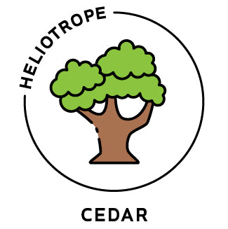 Essential Oil - Cedar by Heliotrope San Francisco