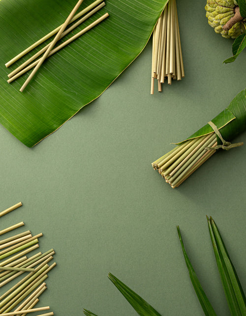Load image into Gallery viewer, Grass Drinking Straws by EQUO
