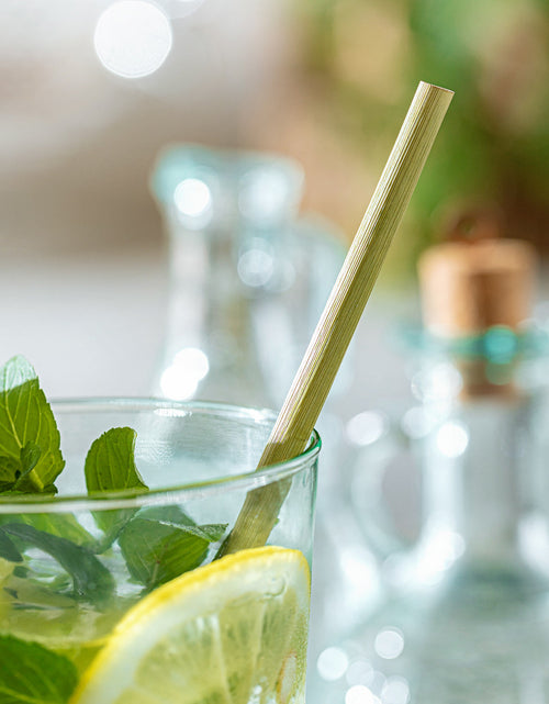 Load image into Gallery viewer, Grass Drinking Straws by EQUO
