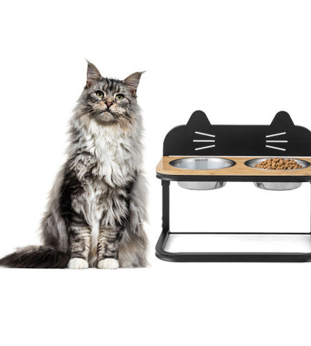 Elevated Pet Feeder with 2 Stainless Steel Bowls for Cats and Small and Medium Dogs