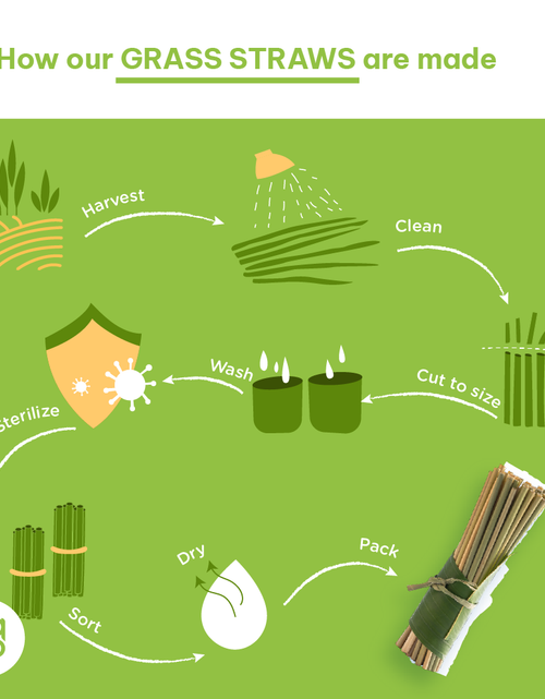 Load image into Gallery viewer, Grass Drinking Straws by EQUO
