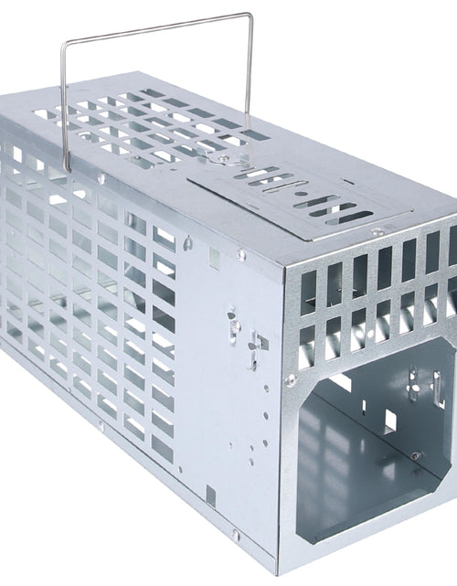 Load image into Gallery viewer, Humane Live Mouse Trap Reusable Metal Rat Rodent Cage Catch Release Continuous Capture Indoor Outdoor Pet Children Safe
