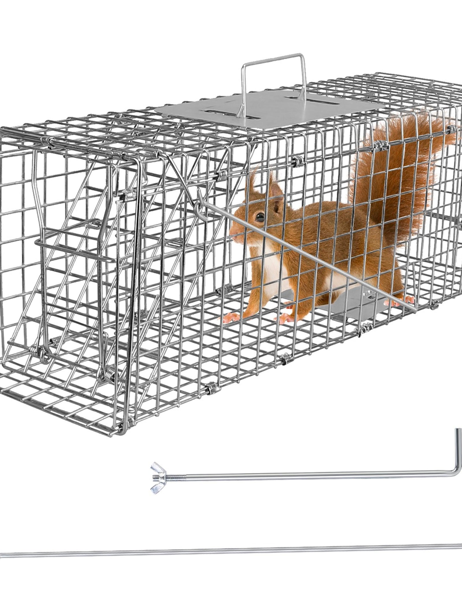 Humane Cat Trap Cage Catch Release Live Animal Rodent Cage Collapsible Galvanized Wire for Small Raccoons Beavers Groundhogs Foxes Armadillos