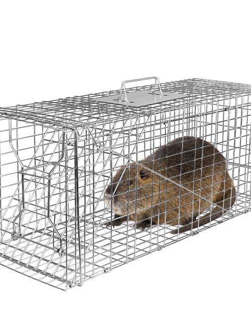 Load image into Gallery viewer, Humane Cat Trap Cage Catch Release Live Animal Rodent Cage Collapsible Galvanized Wire for Raccoons Beavers Groundhogs Foxes Armadillos
