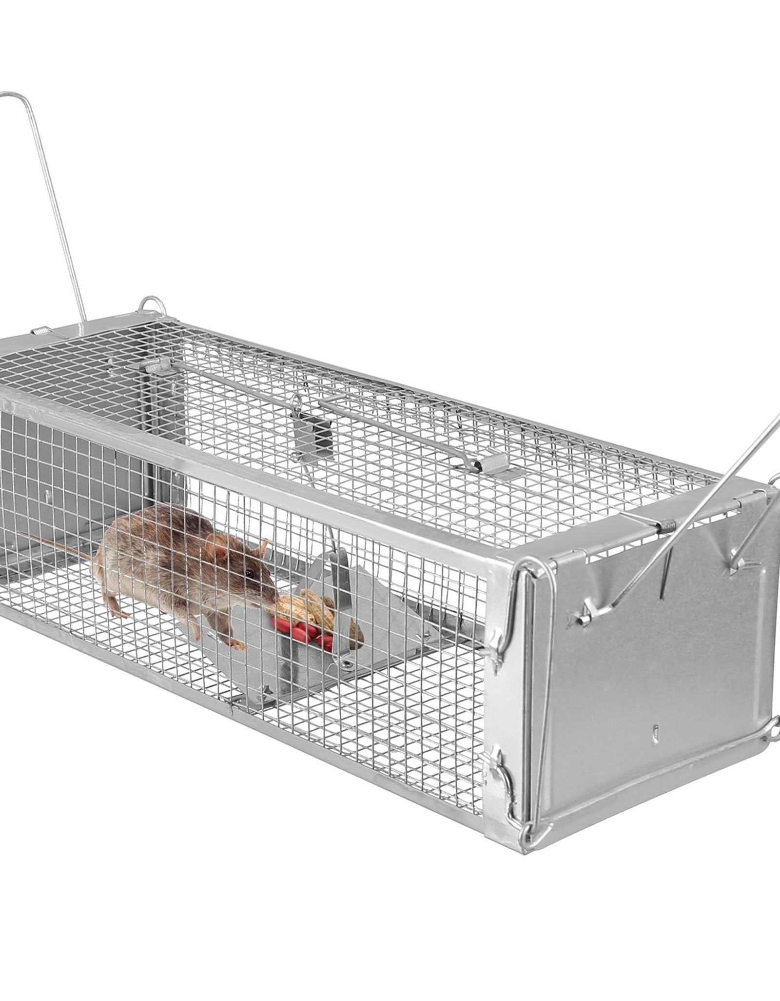 Dual Door Rat Trap Cage Humane Live Rodent Dense Mesh Trap Cage Zinc Electroplating Mice Mouse Control Bait Catch with 2 Detachable U Shaped Rod