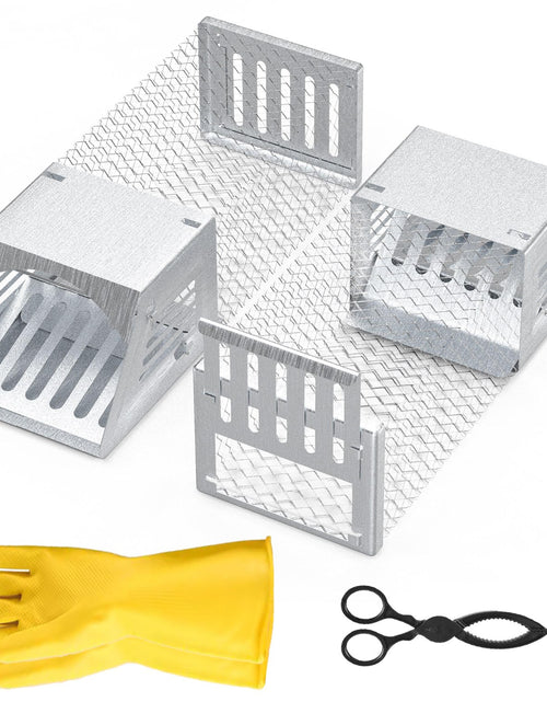 Load image into Gallery viewer, 2Pcs Humane Mouse Trap Cage, Reusable, Single Door, Catch and Release
