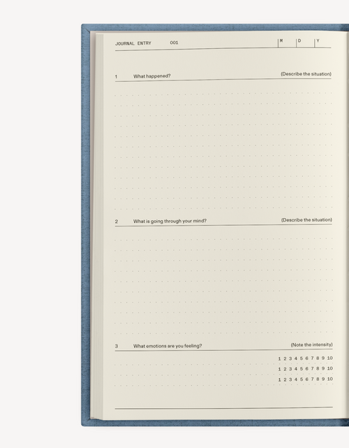 Load image into Gallery viewer, The Stress Management Set by Therapy Notebooks
