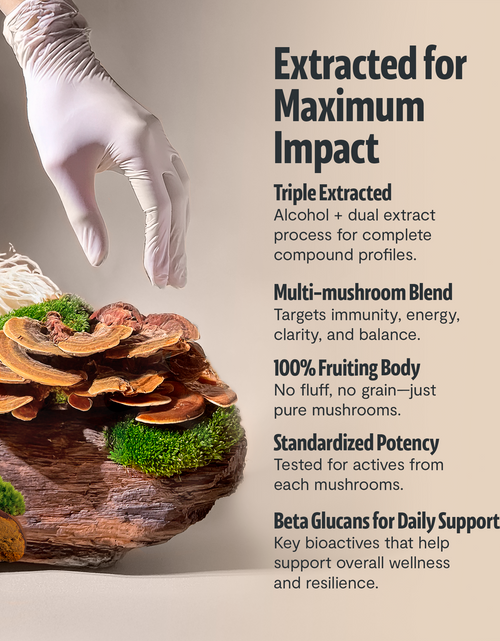 Load image into Gallery viewer, Organic Mushroom Extract Powder Blend
