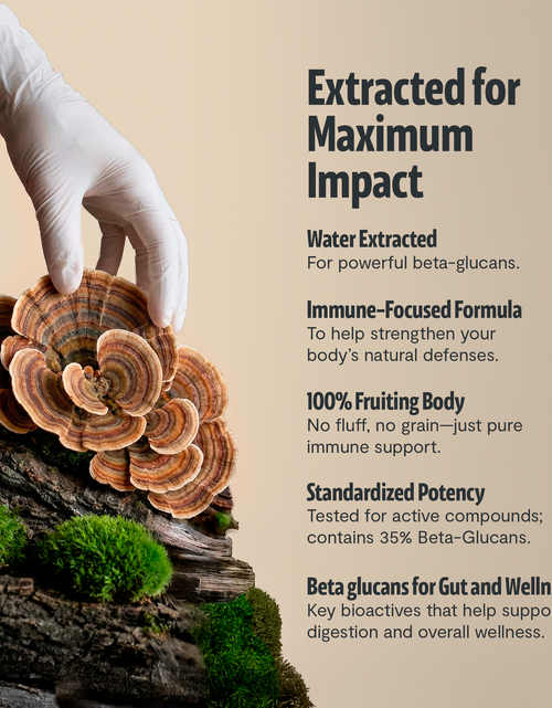 Load image into Gallery viewer, Organic Turkey Tail Mushroom Powder
