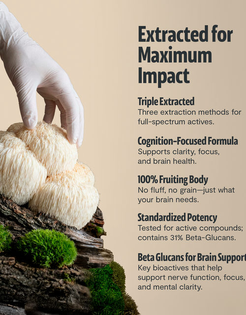 Load image into Gallery viewer, Organic Lion’s Mane Mushroom Powder
