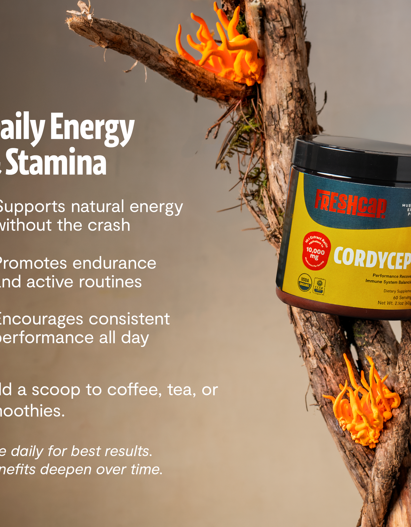 Cordyceps Mushroom Extract Powder