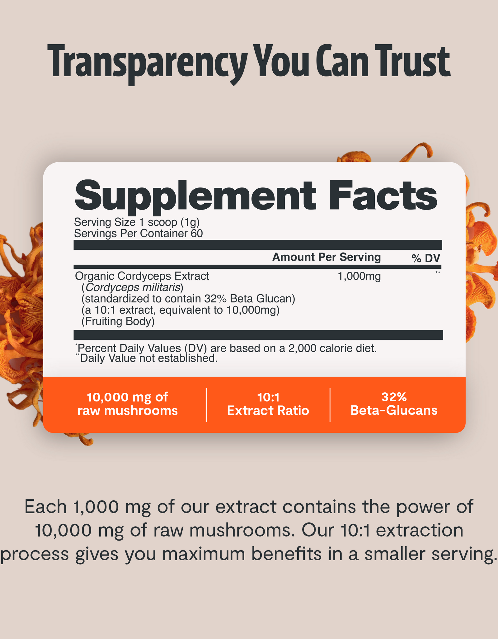 Cordyceps Mushroom Extract Powder