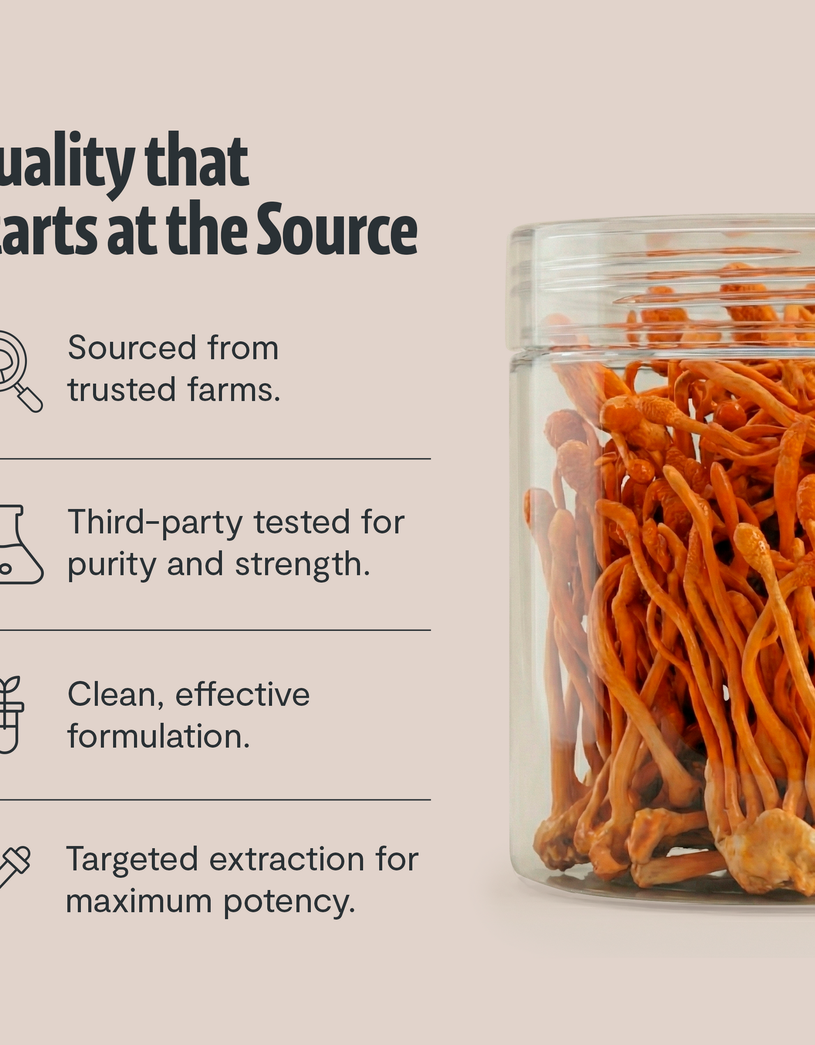 Cordyceps Mushroom Extract Powder