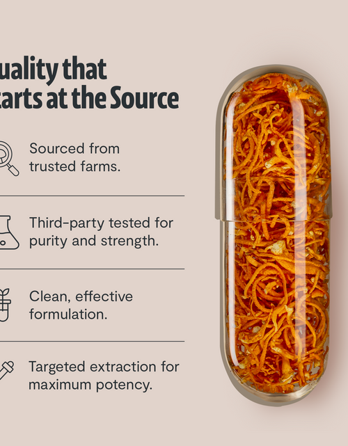 Load image into Gallery viewer, Organic Cordyceps Mushroom Supplement Capsules
