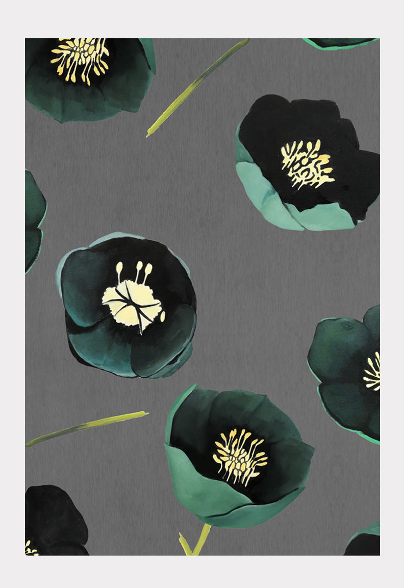 Art Print:  Green Winter Rose on Charcoal by India & Purry