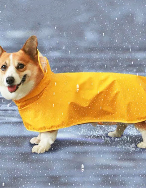 Load image into Gallery viewer, Dog waterproof Raincoat and Poncho with Belly Protection by Dach Everywhere
