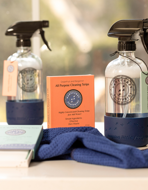 Load image into Gallery viewer, Reusable 16 oz Glass Spray Bottle (Empty) with Silicone Cushion Base by Nantucket Spider &amp; Nantucket Footprint
