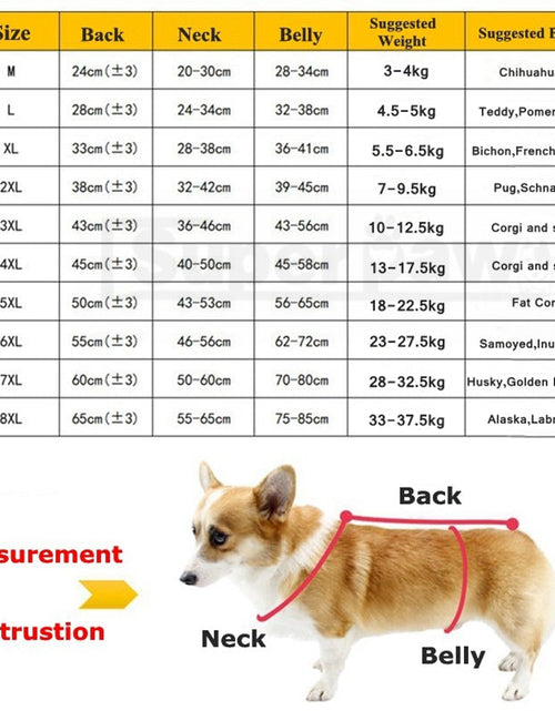Load image into Gallery viewer, Dog waterproof Raincoat and Poncho with Belly Protection by Dach Everywhere
