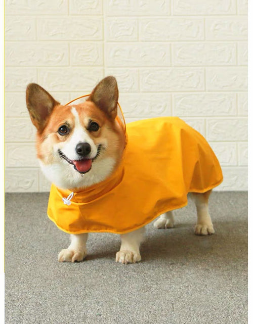 Load image into Gallery viewer, Dog waterproof Raincoat and Poncho with Belly Protection by Dach Everywhere
