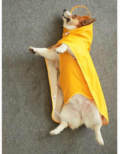 Load image into Gallery viewer, Dog waterproof Raincoat and Poncho with Belly Protection by Dach Everywhere
