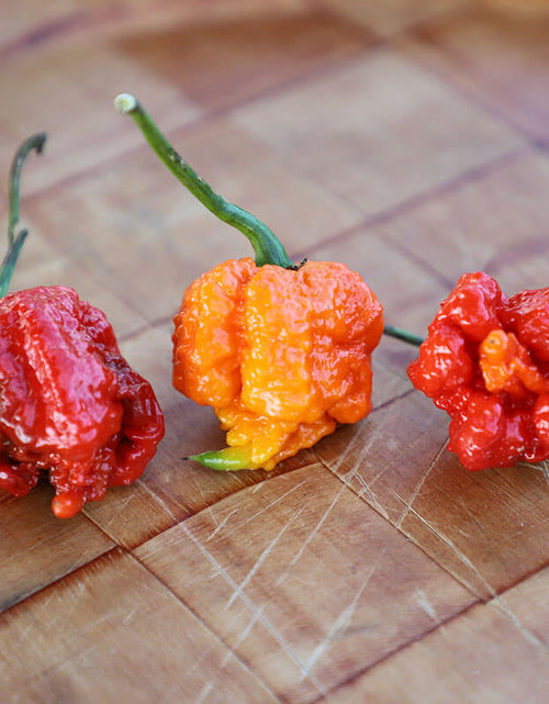 Load image into Gallery viewer, Carolina Reaper Infused Honey
