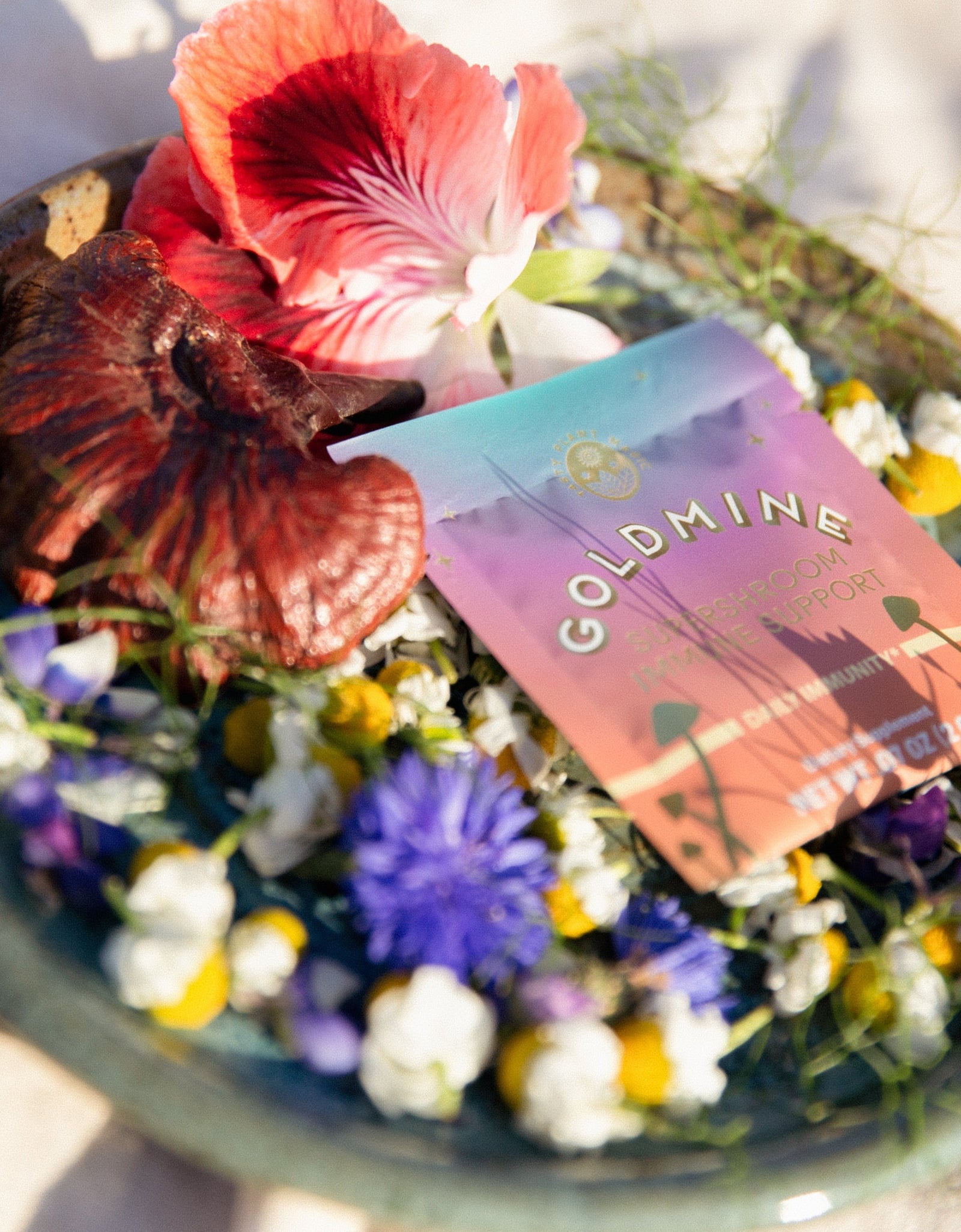 Supershroom Immunity Support Packets by Goldmine Adaptogens