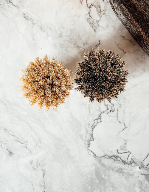 Load image into Gallery viewer, Natural Sisal Brush by Gia Roma
