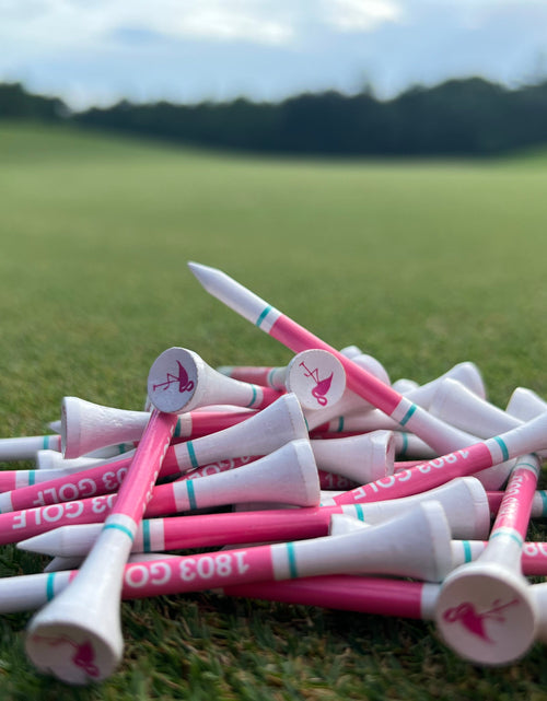 Load image into Gallery viewer, Flamingo Golf Tees by 1803 Golf
