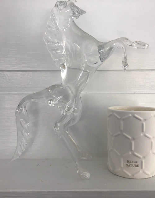 Load image into Gallery viewer, Pagua Bay Votive Candle by Isle de Nature
