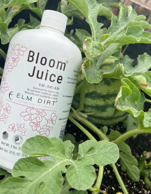 Load image into Gallery viewer, Bloom Power Bundle by Elm Dirt
