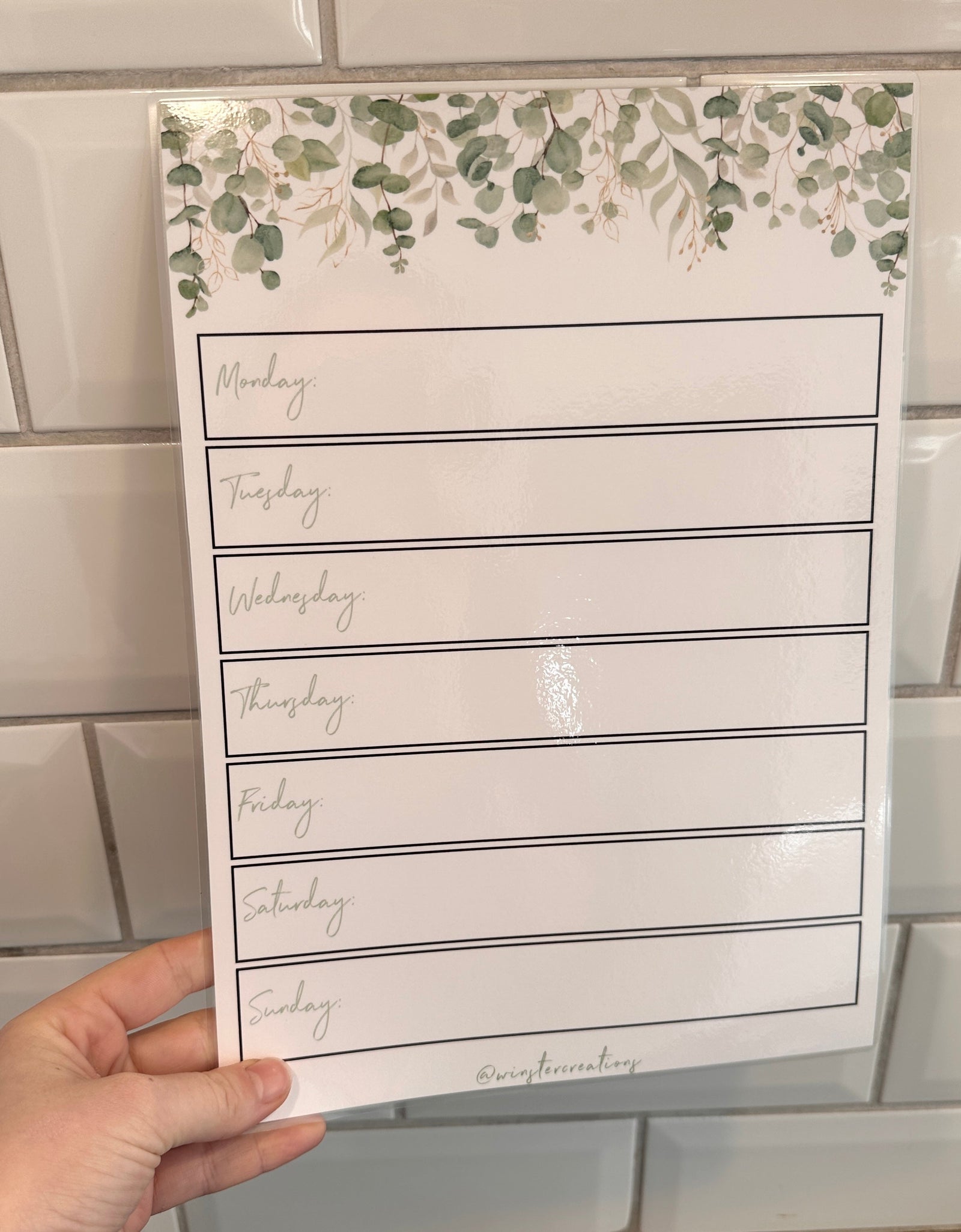 Laminated A4 Mon-Friday Meal Organiser Planner Menu - Eucalyptus + Magnetic Dry-Wipe Pen by WinsterCreations™ Official Store