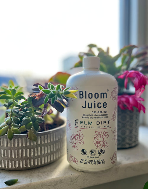 Load image into Gallery viewer, Bloom Power Bundle by Elm Dirt
