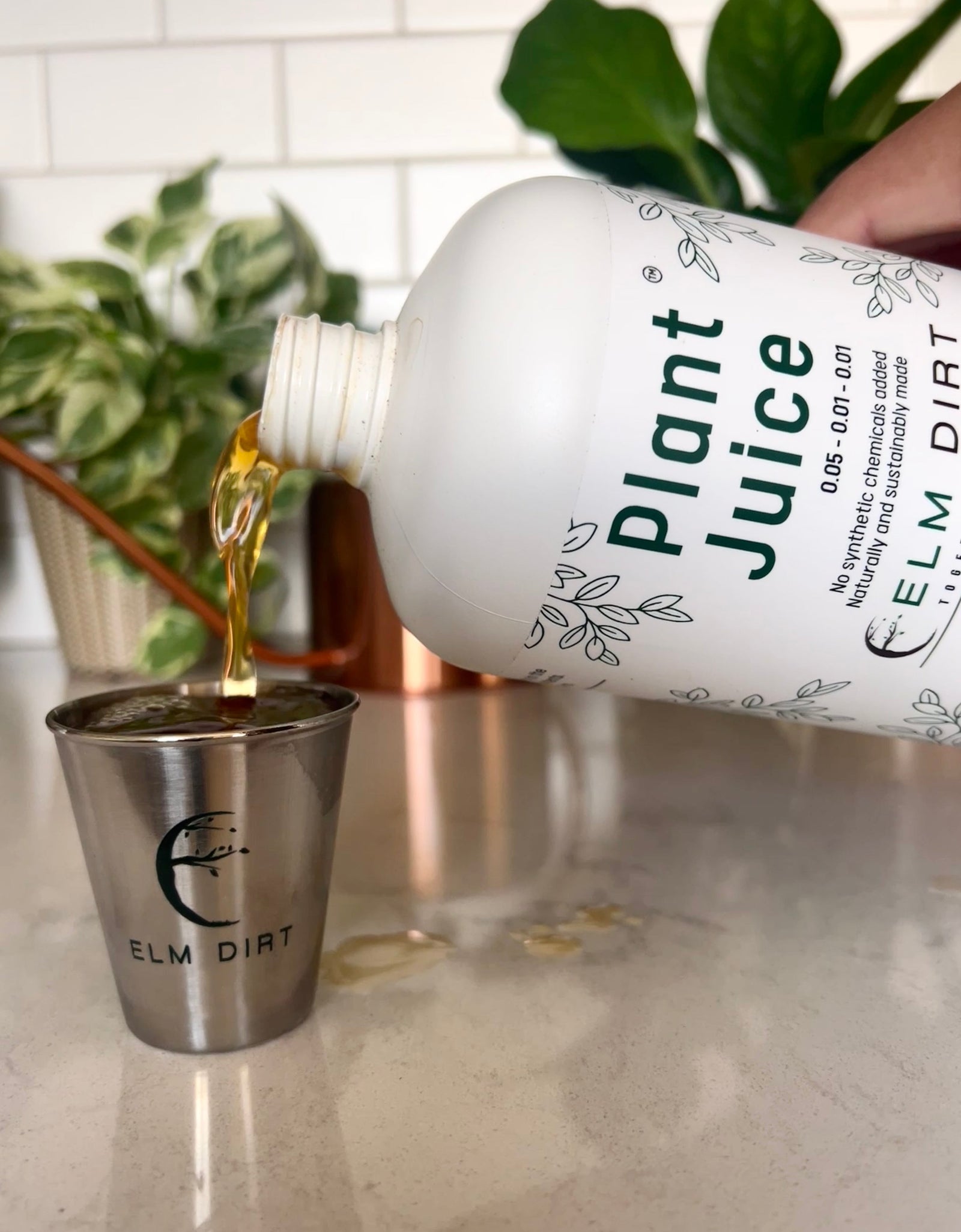 Elm Dirt's Shot Glass by Elm Dirt