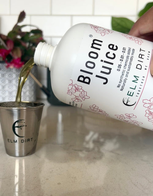 Load image into Gallery viewer, Elm Dirt's Shot Glass by Elm Dirt

