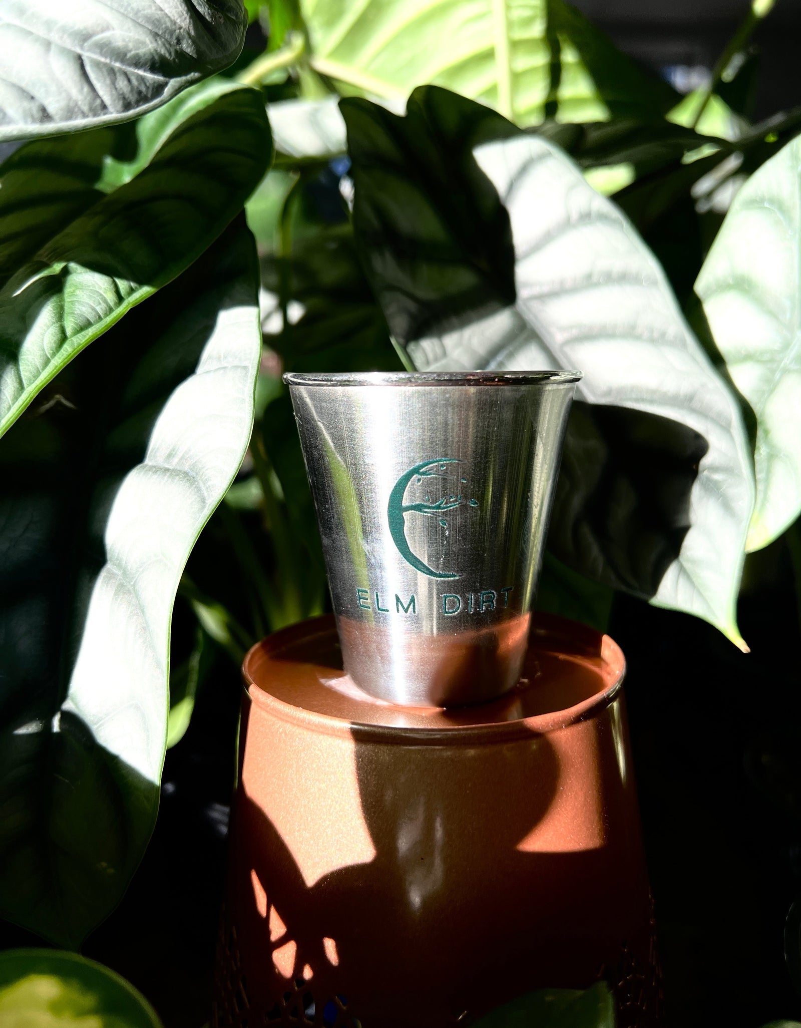 Elm Dirt's Shot Glass by Elm Dirt