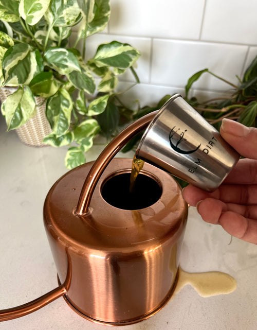 Load image into Gallery viewer, Elm Dirt's Shot Glass by Elm Dirt
