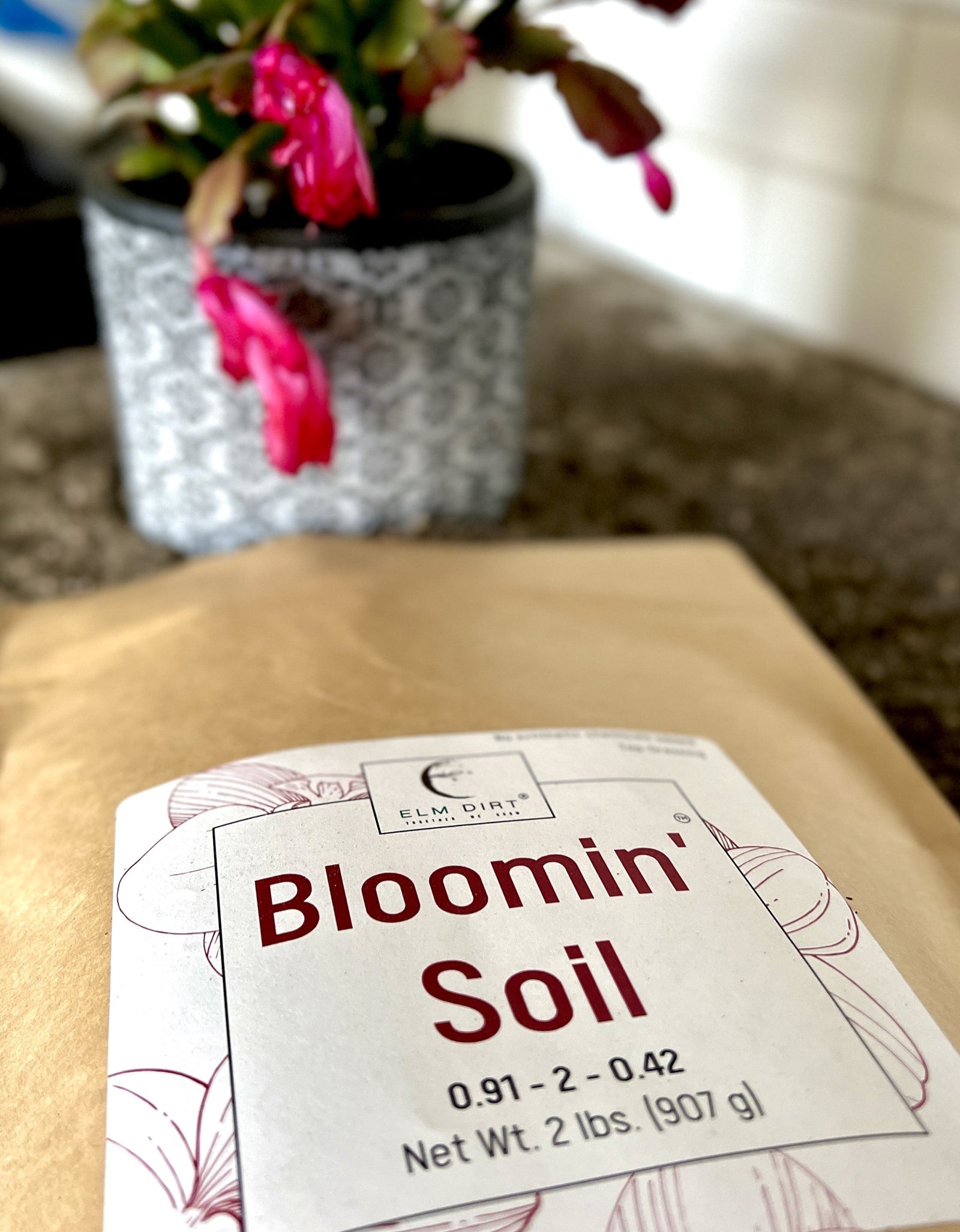 Bloom Power Bundle by Elm Dirt