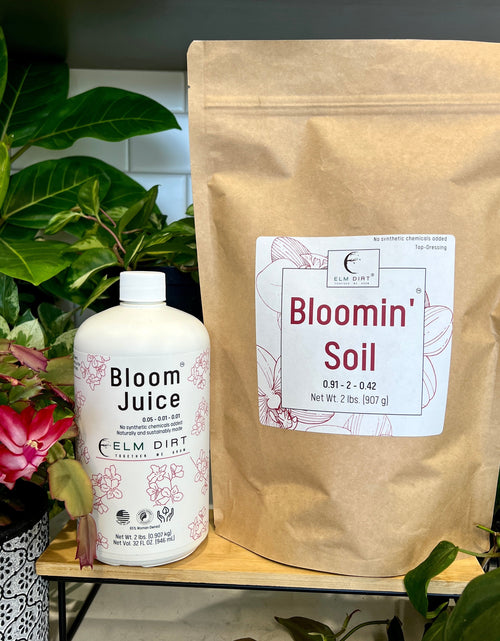 Load image into Gallery viewer, Bloom Power Bundle by Elm Dirt
