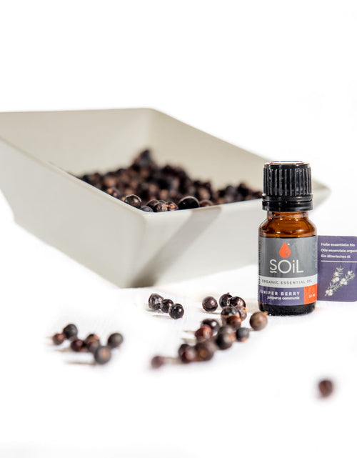 Load image into Gallery viewer, Organic Juniper Essential Oil (Juniperis Communis) 10ml by SOiL Organic Aromatherapy and Skincare
