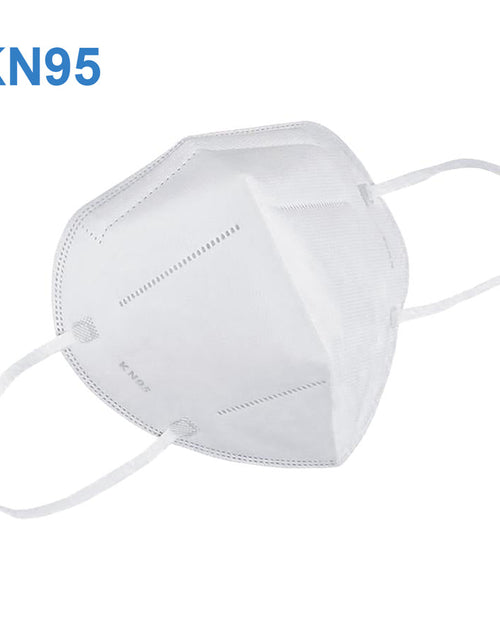 Load image into Gallery viewer, Particulate Respirator Protective Face Mask KN95 - Pack of 1
