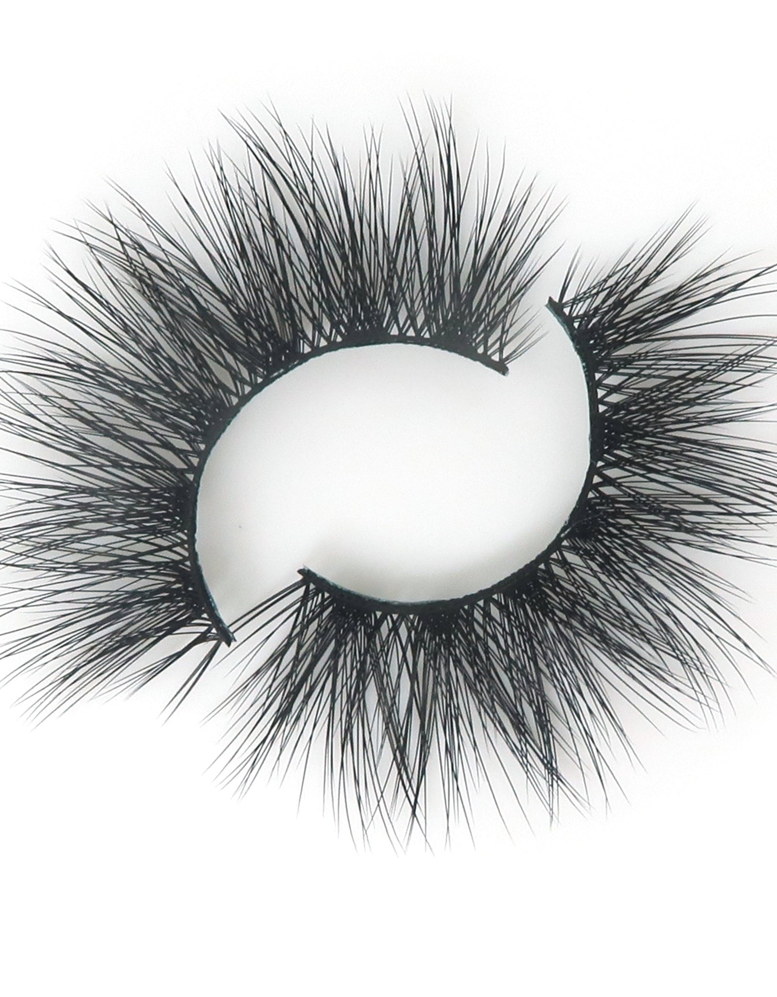 As You Were Saying? Lash Style by True Beauty Lashes