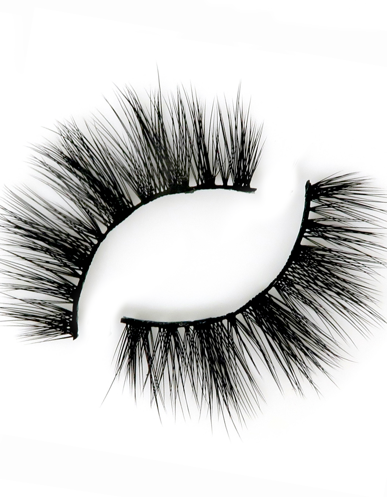 Timeless Beauty Lash Style by True Beauty Lashes