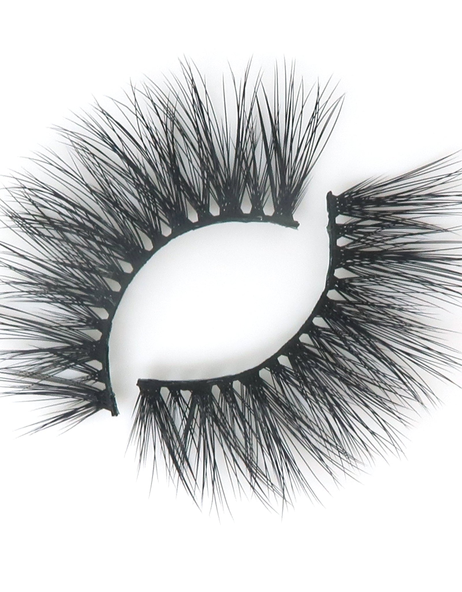 Positively Captivating Lash Style by True Beauty Lashes